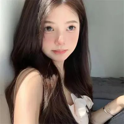 犬之力